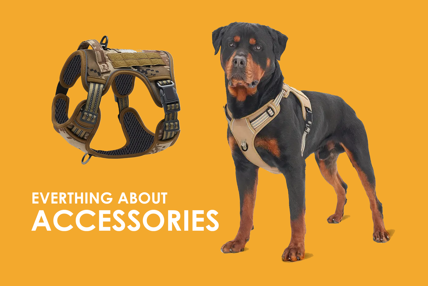 Accessories